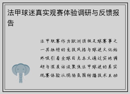 法甲球迷真实观赛体验调研与反馈报告